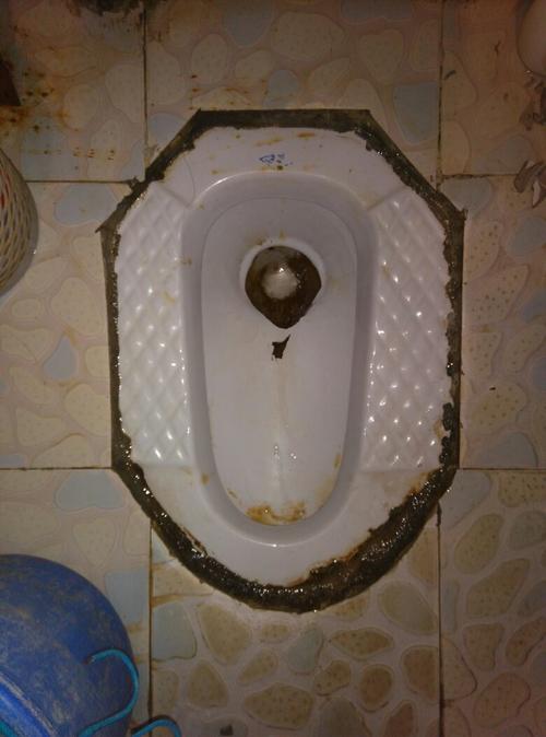 世界上最烂厕所